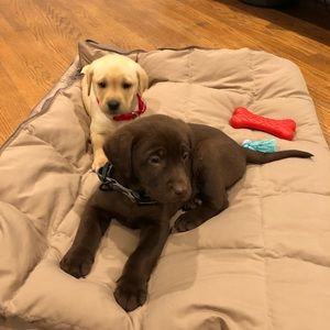 Meet your Posher, Kaye